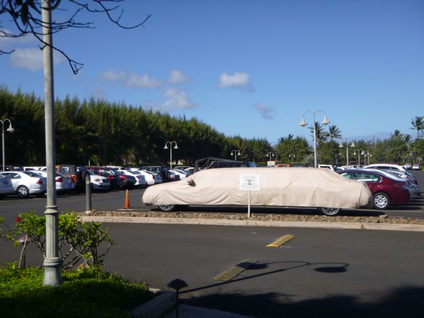 parked limo